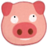 Fly Pig