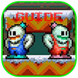 Guide for SNOW BROS