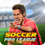 Pro soccer league