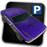 Military Purple Parking
