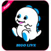 Hot Tips Bigo Live video call APK