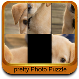 Puzzle Fun Photos