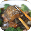 recipes sea cucumber APK