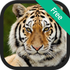 Tiger Sounds APK