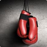Boxe Sound FX