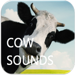 Cows Sounds