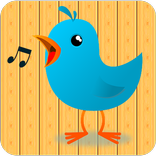 Whistle Bird