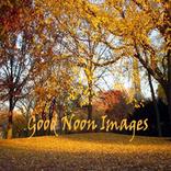 Good Noon Images