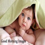 Good Morning Wishes