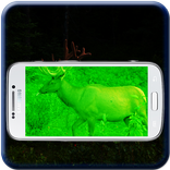 Night Vision Camera Simulator