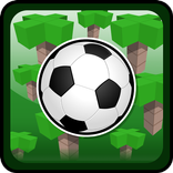 Voxel Soccer
