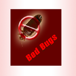 Bed Bugs