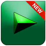 Internet Download Manager