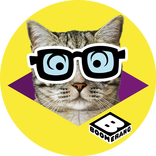 Boomerang Pet Photo Booth