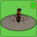 Ant Forage