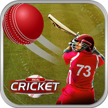 Play Cricket Matches