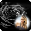 Black Rose Photo Frames APK