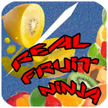 Real Fruit Ninja