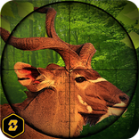 Animal Hunting Wild Adventure 