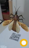 Triatoma Infestans AR screenshot 1