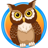 Talking Owl Buddy
