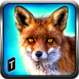 Wild Fox Adventures 2016