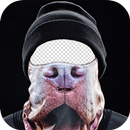 Face Mask Photo Editor APK