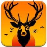The Safari Hunting