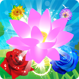 Blossom Garden