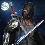 Ninja Master Assassin Hero