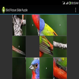 Bird Jig Saw Puzzle