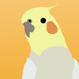 Pied Draw
