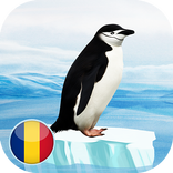 Pinguini