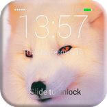 Biały ekran Fox Lock