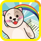 Maze : Maze Rainbow