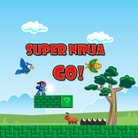 Super Ninja