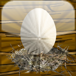 Tamago 3D