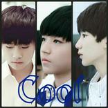 TF家族