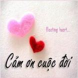 ”Status Hay