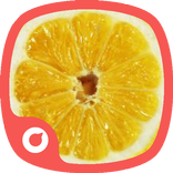 Fruit Candy Theme