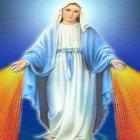 THE ANGELUS icon