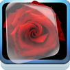 Red and Black Live Wallpaper APK