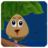 Pou Bird 2017
