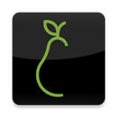 PearChef APK