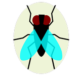 Bug Bug