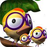 Happy Bird 2017