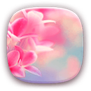 APK 3D Aroma Launcher