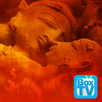 Exotica Hot Movies APK