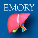 Surgical Anatomy of the Liver