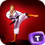Kung Fu 3D